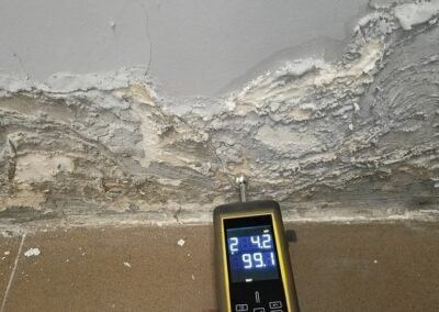 Pleśń na ścianach, odgrzybianie H2O Osuszanie Rzeszów Badura