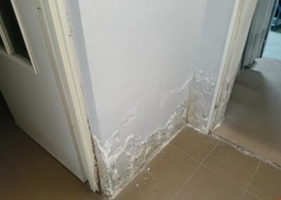 Pleśń i grzyb na ścianach, odgrzybianie H2O Rzeszów Badura